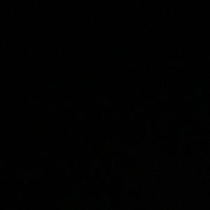 Meet your Posher, Kenzi